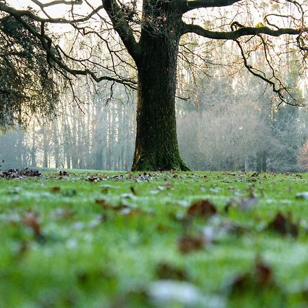 Chateau De La Chasse Beauvais Romagne  Kültér fotó